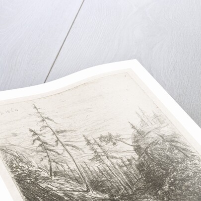 Mountain landscape with pine trees and brook by Willem Matthias Jan van Dielen