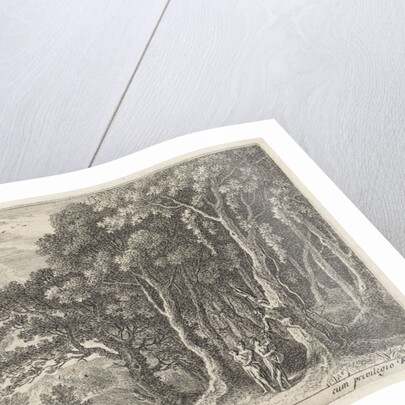 Sater gathers fruit by Herman van Swanevelt