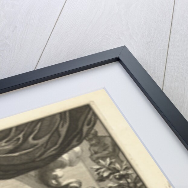 Jewish symbols and figures from the Bible, John Jacobsz van den Aveele by Wilhelmus Goeree I