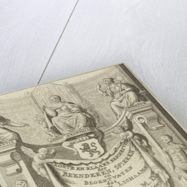 Allegory of the anatomy by Reynier Blokhuysen