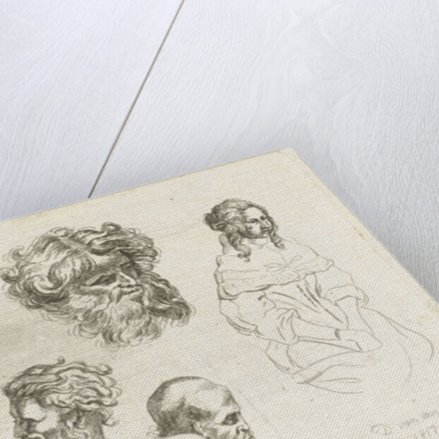 Study Sheet with heads and female bodies by D. van den Bosch