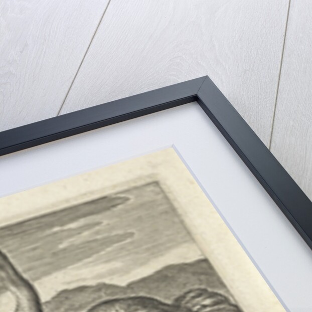 Crowned Crane between two ostriches by Claes Jansz. Visscher II