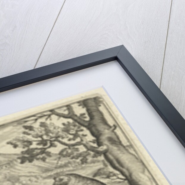 Three hens and two roosters by Claes Jansz. Visscher II