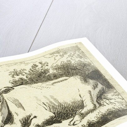 Lying cow by Johannes van Cuylenburgh