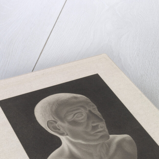 Bust of Cicero by C. Forsfell