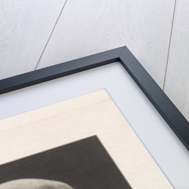 Bust of Cicero by C. Forsfell