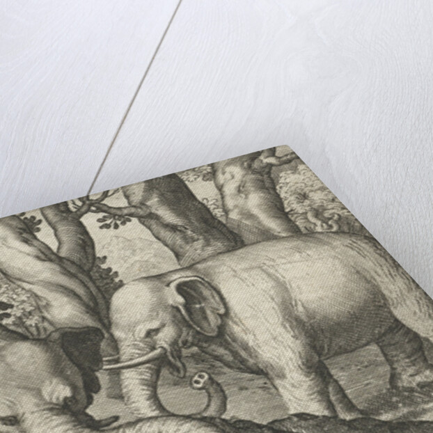 Two elephants by Assuerus van Londerseel