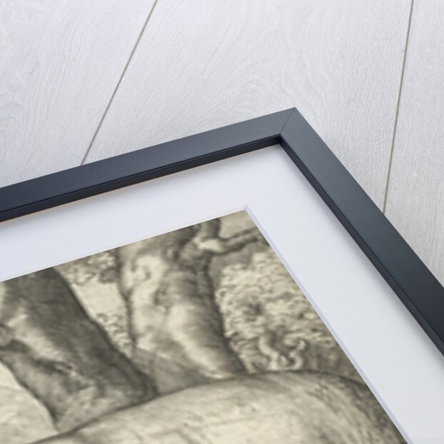 Two elephants by Assuerus van Londerseel