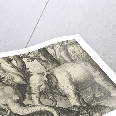 Two elephants by Assuerus van Londerseel