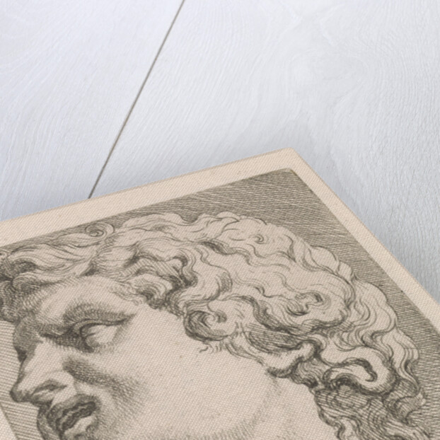 Head of one of the sons of Laocoön, side view by Augustinus Terwesten I