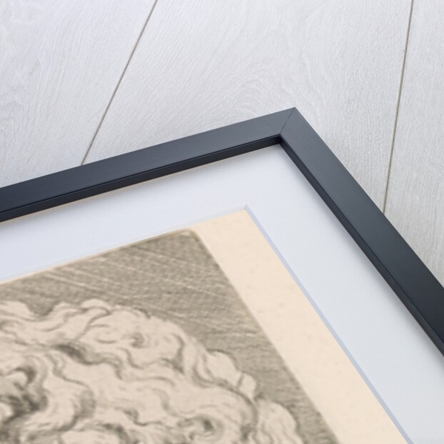 Head of one of the sons of Laocoön, side view by Augustinus Terwesten I