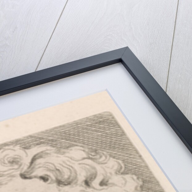 Head of one of the sons of Laocoön, front view by Augustinus Terwesten I