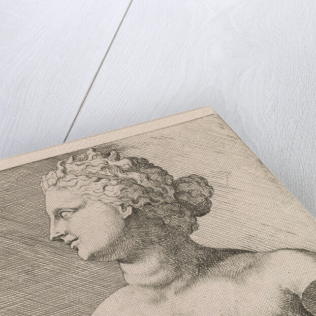 Bust of Venus de 'Medici, in profile to the left by Augustinus Terwesten I