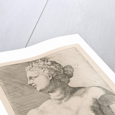 Bust of Venus de 'Medici, in profile to the left by Augustinus Terwesten I