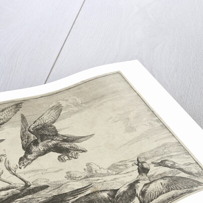Two falcons attack a heron by Peeter Boel
