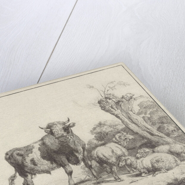 Taurus and sheep by Evert Maaskamp