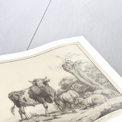 Taurus and sheep by Evert Maaskamp