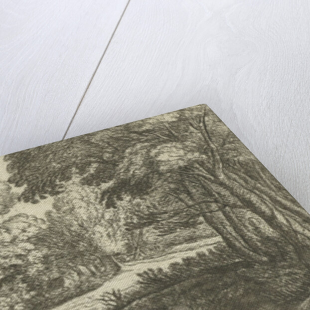 Forest Landscape by Lucas van Uden