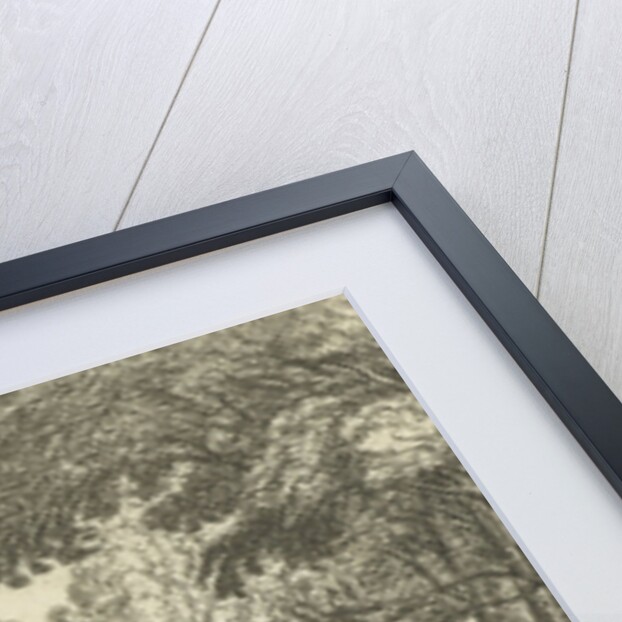 Forest Landscape by Lucas van Uden