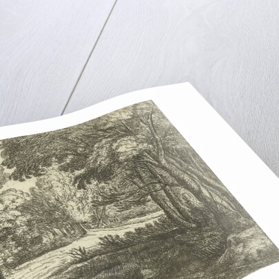 Forest Landscape by Lucas van Uden