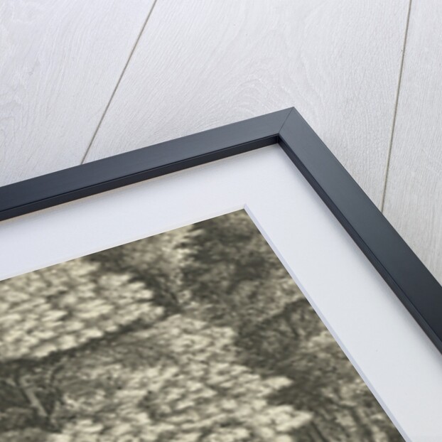 Shepherd at a forest edge by Jean Baptiste Bonnecroy