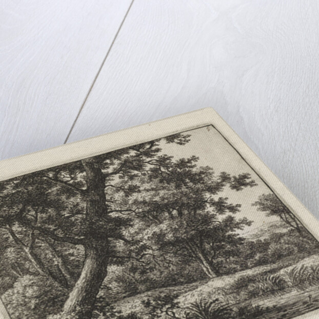 Overhanging tree by Anthonie Waterloo