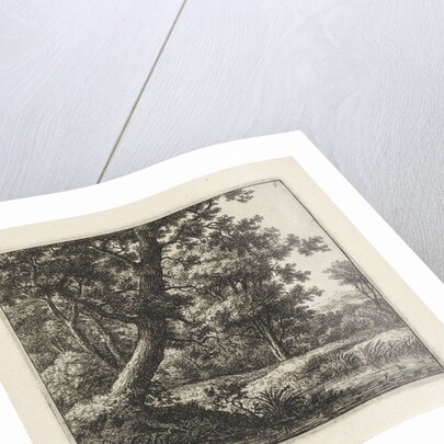 Overhanging tree by Anthonie Waterloo