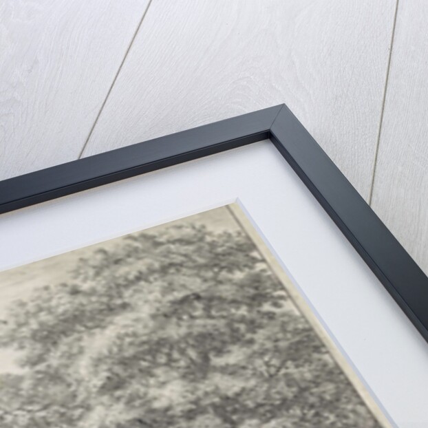 Forest road by Anthonie Waterloo