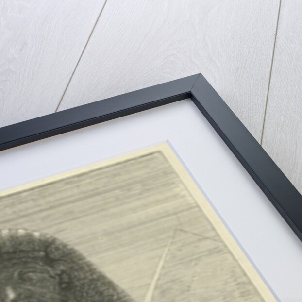 Sphinx by Lawrence Alma Tadema