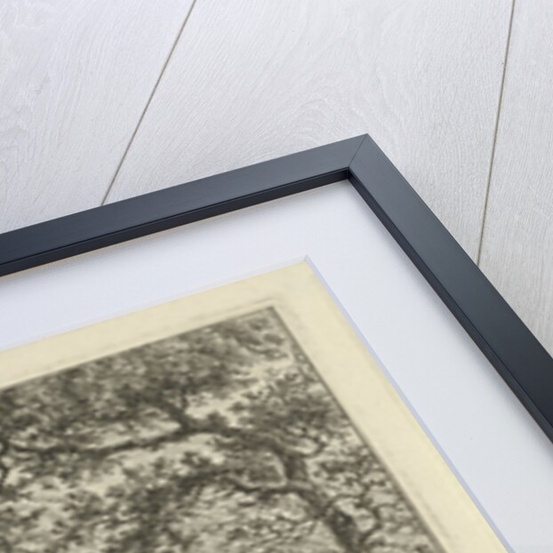 Barnyard with a man with deadwood by Hermanus Fock