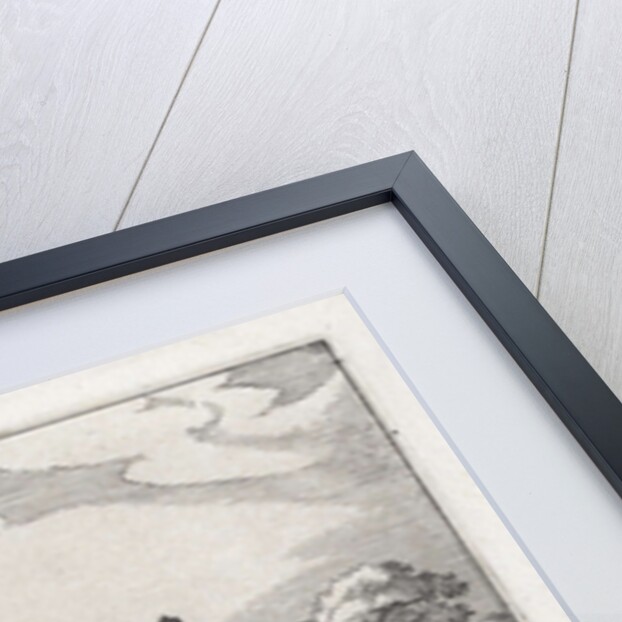 leper house in Haarlem by Claes Jansz. Visscher II