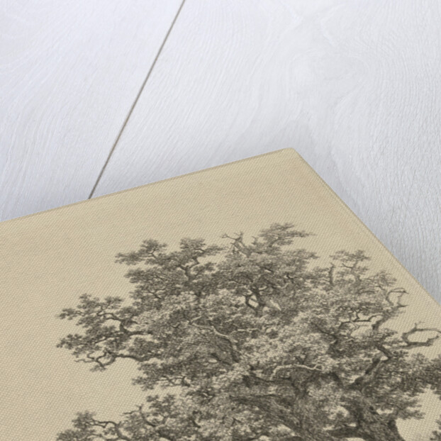 Two oaks on a small lake by Remigius Adrianus Haanen