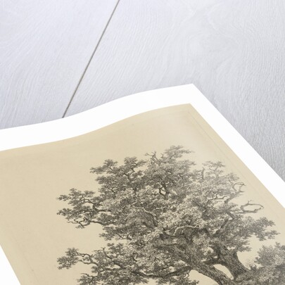 Two oaks on a small lake by Remigius Adrianus Haanen