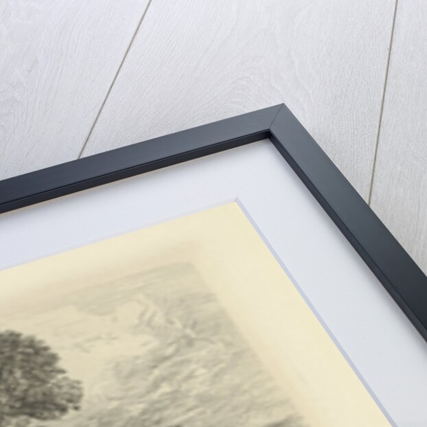 Wooden bridge by Charles Rochussen