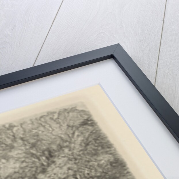 A vase surrounded by bushes, right two large trees by Charles Rochussen