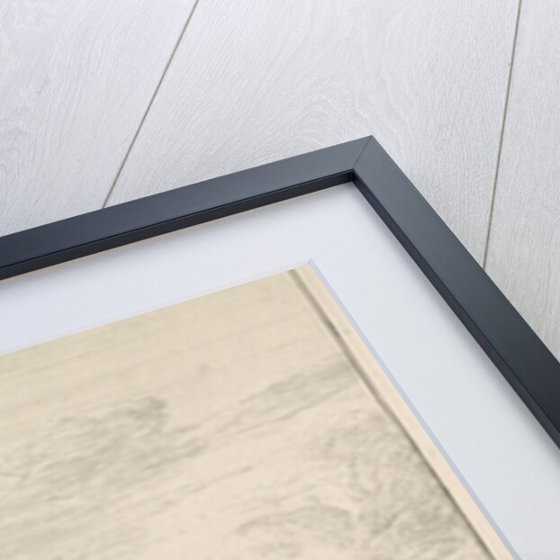 On a path on the edge of The Hague Forest, walk a few walkers and a dog by Roelant Roghman