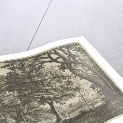 Deer in The Hague Forest by Roelant Roghman