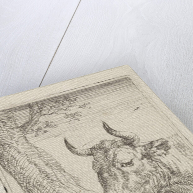 Cow at a willow fence, Aert Schouman by Paulus Potter