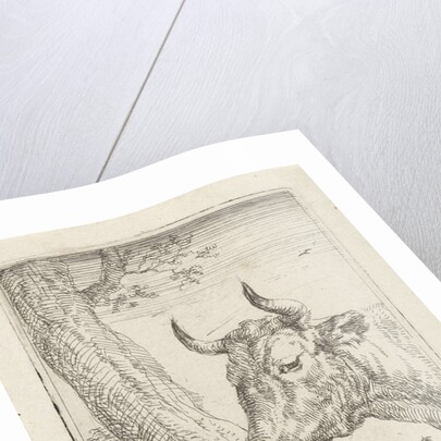 Cow at a willow fence, Aert Schouman by Paulus Potter