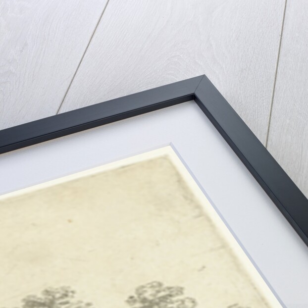 Ruins at a more by Frans van den Wijngaerde