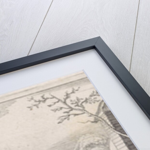 The location of the Carthusian Monastery in Amsterdam by Jan van de Velde II