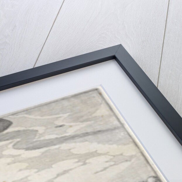 View Diemen by Claes Jansz. Visscher II