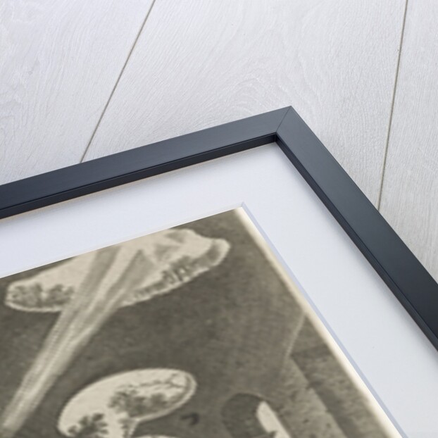 Adoration of the Magi by Philips Galle