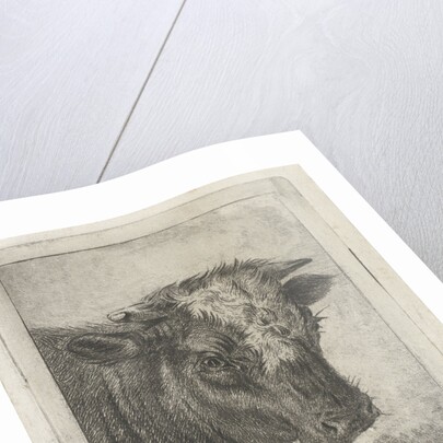Head of a cow by Jacobus Cornelis Gaal