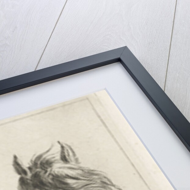 Two horse heads by Jacobus Cornelis Gaal