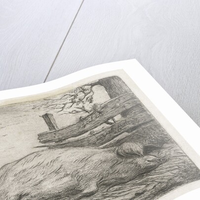 Lying boar by Jacobus Cornelis Gaal