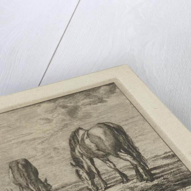 Two grazing horses by Jacobus Cornelis Gaal