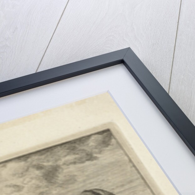 Two grazing horses by Jacobus Cornelis Gaal