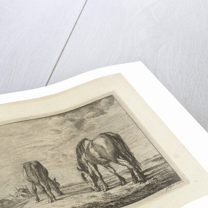 Two grazing horses by Jacobus Cornelis Gaal