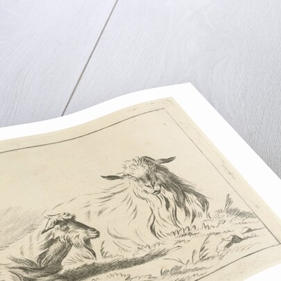Two reclining goats by Pieter Gaal